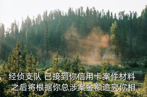 深圳龍崗經偵大隊涉及哪些方面，經偵支隊 已接到你信用卡案件材料 之后將根據你總涉案金額追究你相