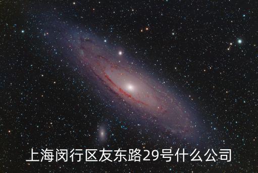 上海閔行區友東路29號什么公司