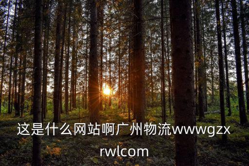 這是什么網站啊廣州物流wwwgzxrwlcom