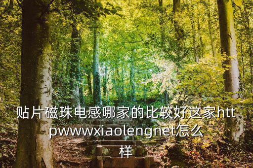 深圳愛瑞興電子有限公司，電子行業大電流磁珠哪家公司比較好 wwwhongeyxcom 這家怎么