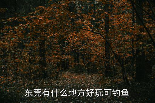 東莞附近水庫釣魚好去處，東莞有什么地方好玩可釣魚