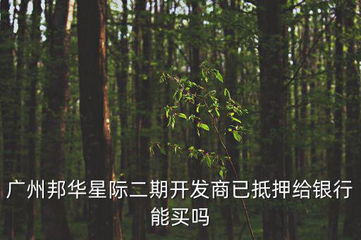 廣州邦華星際二期開發(fā)商已抵押給銀行能買嗎