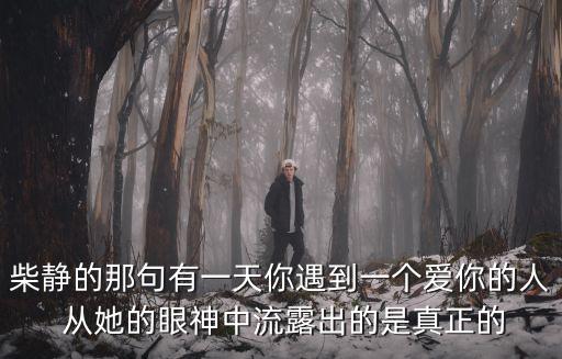 柴靜的那句有一天你遇到一個(gè)愛(ài)你的人 從她的眼神中流露出的是真正的