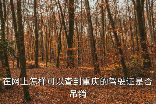 在網上怎樣可以查到重慶的駕駛證是否吊銷