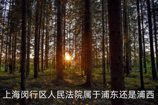 上海市閔行區(qū)浦江人民法庭，浦江人民法院在哪里