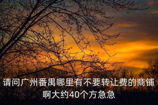 廣州番禺發(fā)廊轉(zhuǎn)讓，番禺市橋邊間電發(fā)拉發(fā)又便又靚的發(fā)廊
