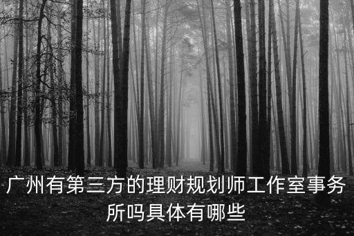 廣州有第三方的理財規劃師工作室事務所嗎具體有哪些