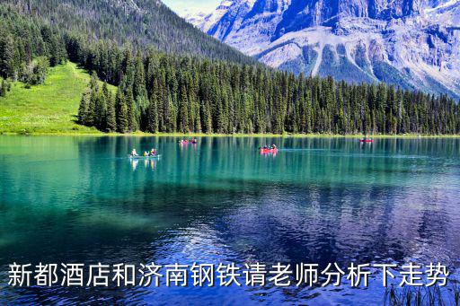 新都酒店和濟(jì)南鋼鐵請(qǐng)老師分析下走勢(shì)