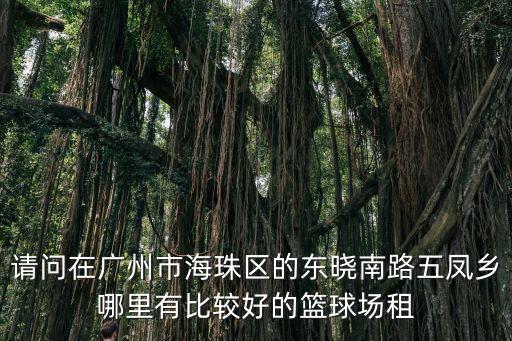 請問在廣州市海珠區的東曉南路五鳳鄉哪里有比較好的籃球場租