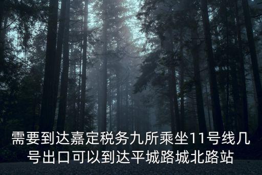需要到達(dá)嘉定稅務(wù)九所乘坐11號線幾號出口可以到達(dá)平城路城北路站