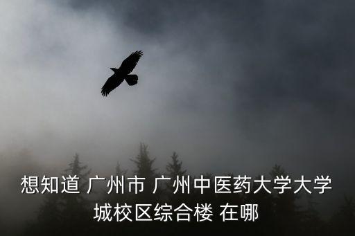 想知道 廣州市 廣州中醫(yī)藥大學(xué)大學(xué)城校區(qū)綜合樓 在哪