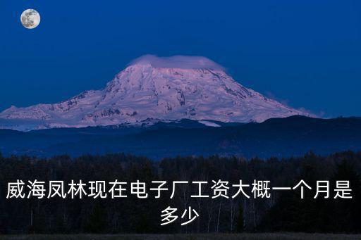 威海鳳林現(xiàn)在電子廠工資大概一個(gè)月是多少