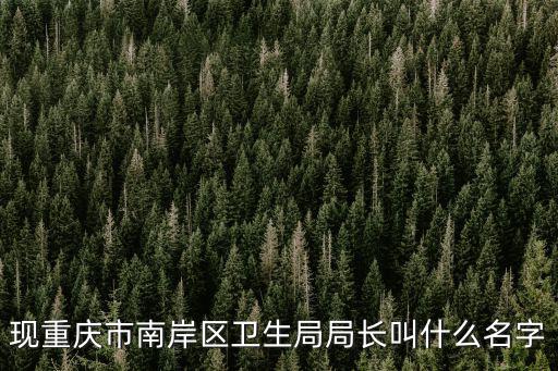 現(xiàn)重慶市南岸區(qū)衛(wèi)生局局長叫什么名字