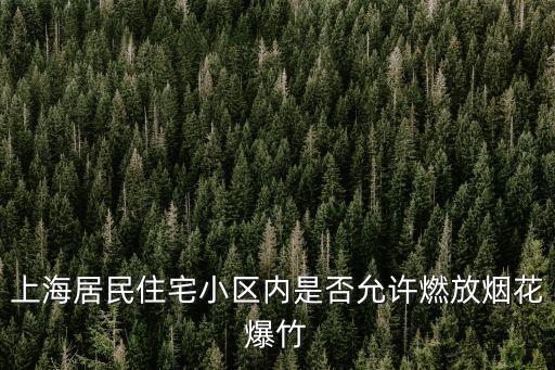 上海居民住宅小區(qū)內(nèi)是否允許燃放煙花爆竹