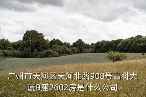 廣州市天河區(qū)天河北路908號(hào)高科大廈B座2602房是什么公司