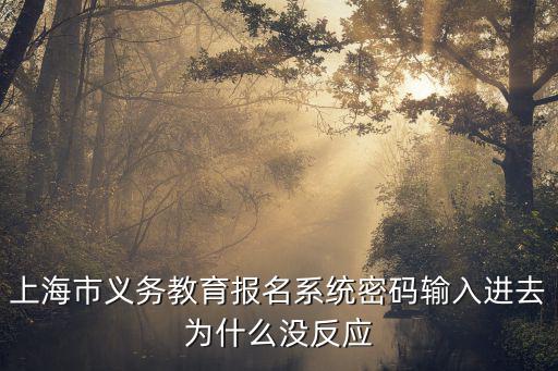 上海市義務教育報名系統密碼輸入進去為什么沒反應