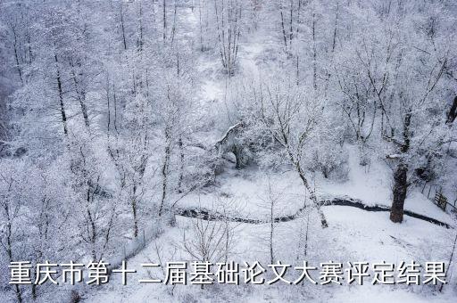 重慶市現(xiàn)場(chǎng)論文大賽喜訊，2003年年底重慶市發(fā)生一起井噴事故造成了243人中毒死亡從崩裂