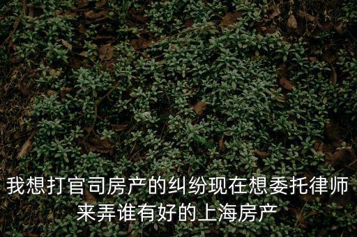 我想打官司房產(chǎn)的糾紛現(xiàn)在想委托律師來弄誰有好的上海房產(chǎn)