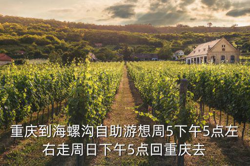 重慶市五年輪審計(jì)劃，重慶到海螺溝自助游想周5下午5點(diǎn)左右走周日下午5點(diǎn)回重慶去