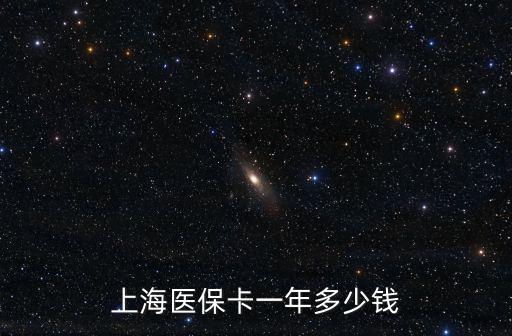 上海醫保卡一年多少錢
