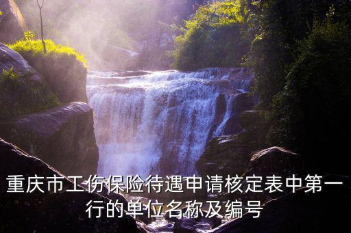 重慶市工傷保險待遇申請核定表中第一行的單位名稱及編號