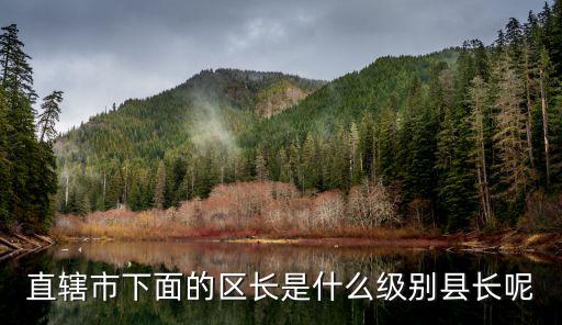 直轄市下面的區(qū)長(zhǎng)是什么級(jí)別縣長(zhǎng)呢