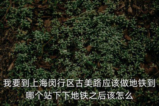 我要到上海閔行區古美路應該做地鐵到哪個站下下地鐵之后該怎么