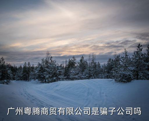 廣州粵騰商貿(mào)有限公司是騙子公司嗎