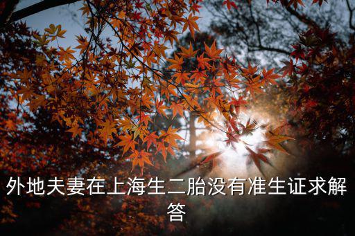 外地夫妻在上海生二胎沒有準生證求解答
