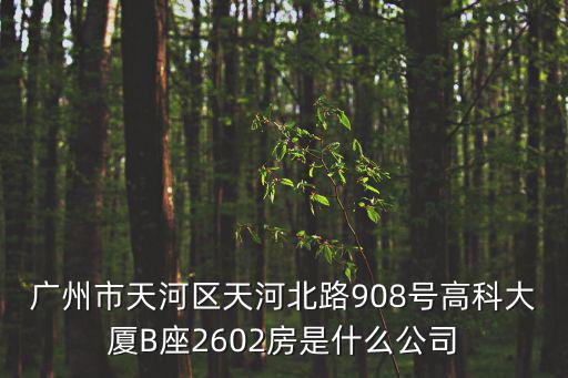 廣州市天河區天河北路908號高科大廈B座2602房是什么公司