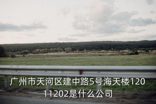 廣州市昊通網絡科技有限公司，廣州市天河區建中路5號海天樓12011202是什么公司