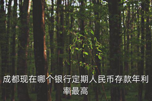成都現在哪個銀行定期人民幣存款年利率最高