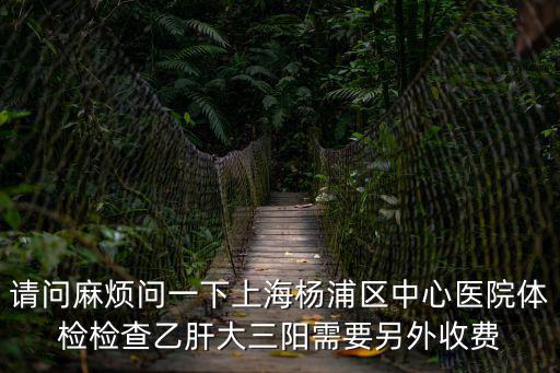 請問麻煩問一下上海楊浦區中心醫院體檢檢查乙肝大三陽需要另外收費