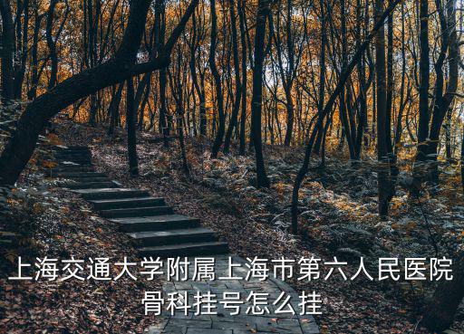 上海市六骨科醫院，上海市第六人民醫院骨科好嗎