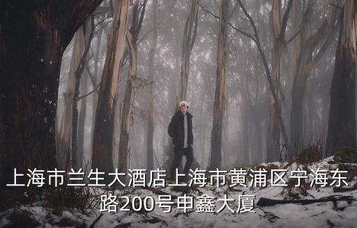 上海市酒店黃頁，上海市蘭生大酒店上海市黃浦區寧海東路200號申鑫大廈