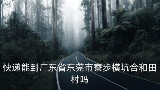 快遞能到廣東省東莞市寮步橫坑合和田村嗎