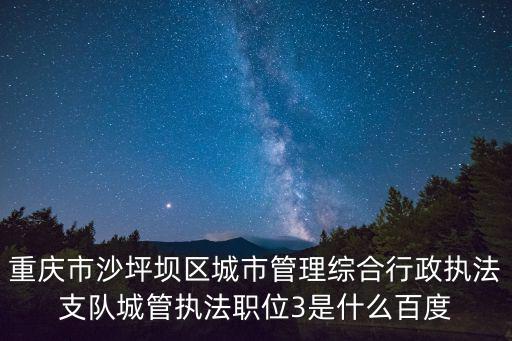重慶市行政執法人員管理系統，重慶市沙坪壩區城市管理綜合行政執法支隊城管執法職位3是什么百度