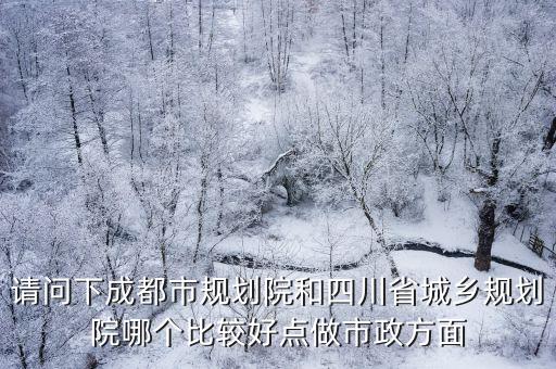 請(qǐng)問下成都市規(guī)劃院和四川省城鄉(xiāng)規(guī)劃院哪個(gè)比較好點(diǎn)做市政方面