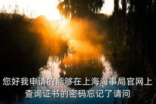 您好我申請的能夠在上海海事局官網上查詢證書的密碼忘記了請問