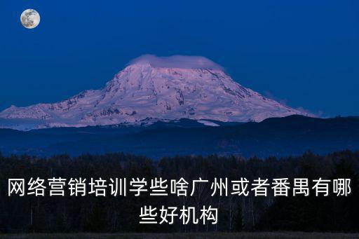 網絡營銷培訓學些啥廣州或者番禺有哪些好機構