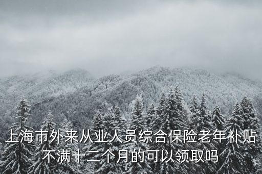 上海市老年綜合津貼發放管理辦法，上海市外來從業人員綜合保險老年補貼不滿十二個月的可以領取嗎