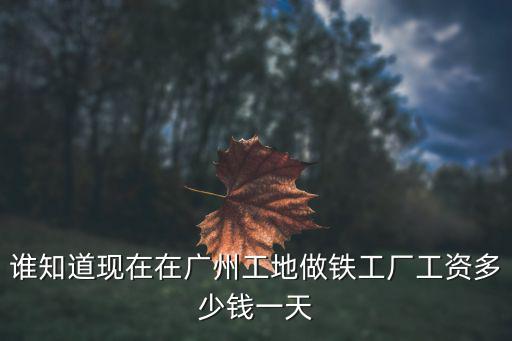 誰(shuí)知道現(xiàn)在在廣州工地做鐵工廠工資多少錢一天