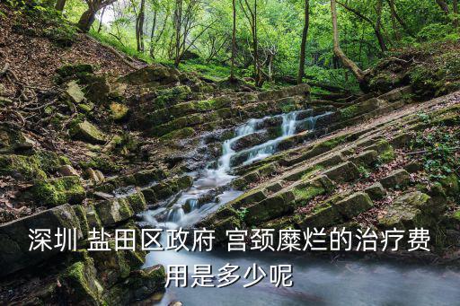 深圳 鹽田區(qū)政府 宮頸糜爛的治療費(fèi)用是多少呢
