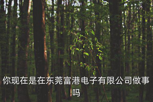 你現在是在東莞富港電子有限公司做事嗎