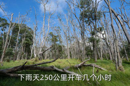 下雨天250公里開車幾個小時