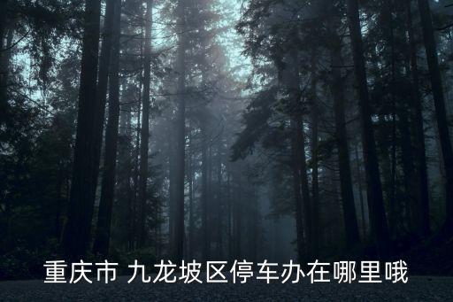 重慶市公共停車場管理辦公室，重慶市 九龍坡區停車辦在哪里哦