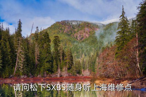 請問松下SXBS隨身聽上海維修點
