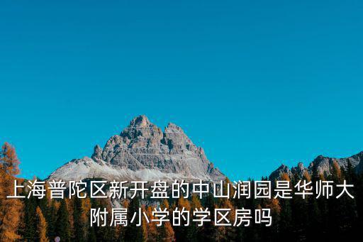 上海普陀區新開盤的中山潤園是華師大附屬小學的學區房嗎