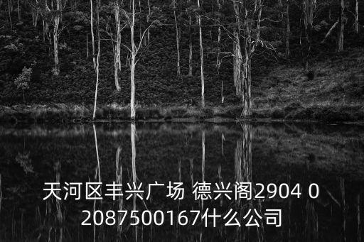 天河區豐興廣場 德興閣2904 02087500167什么公司