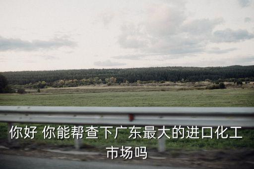 廣州市郎氏進出口貿易有限公司，你好 你能幫查下廣東最大的進口化工市場嗎